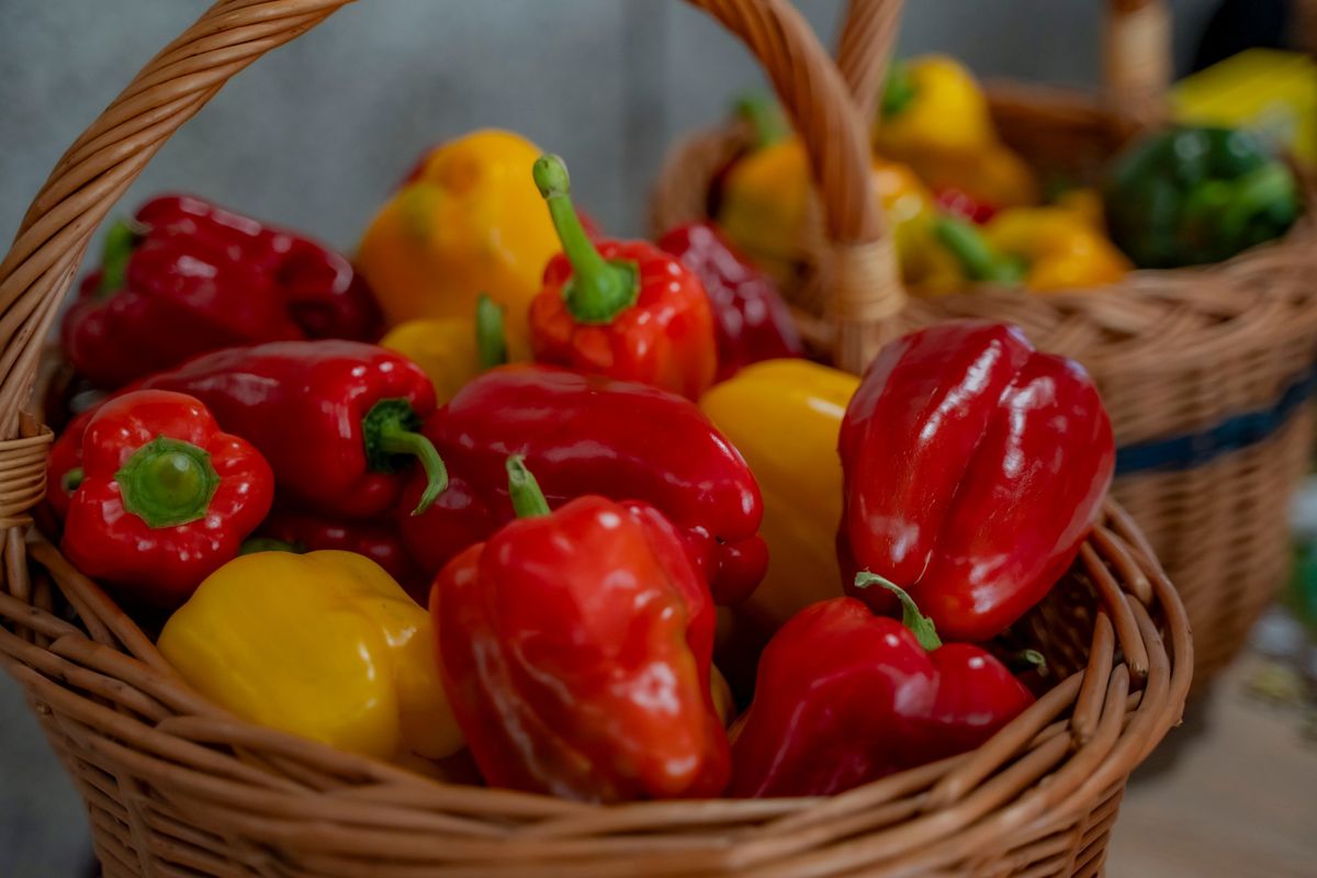 Inżynieralia 2025 na Wydziale Rolnictwa i Biotechnologii